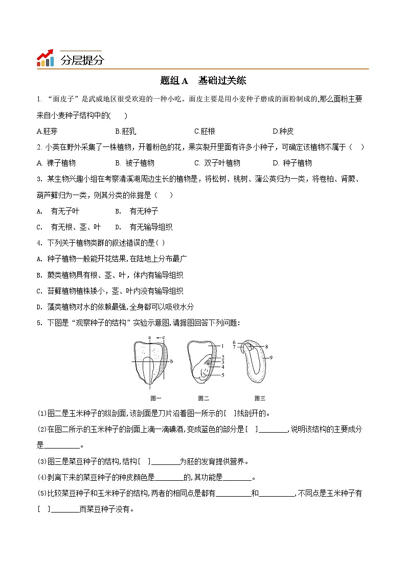 【同步讲义】人教版生物七年级上册--3.1.2《种子植物》讲义03