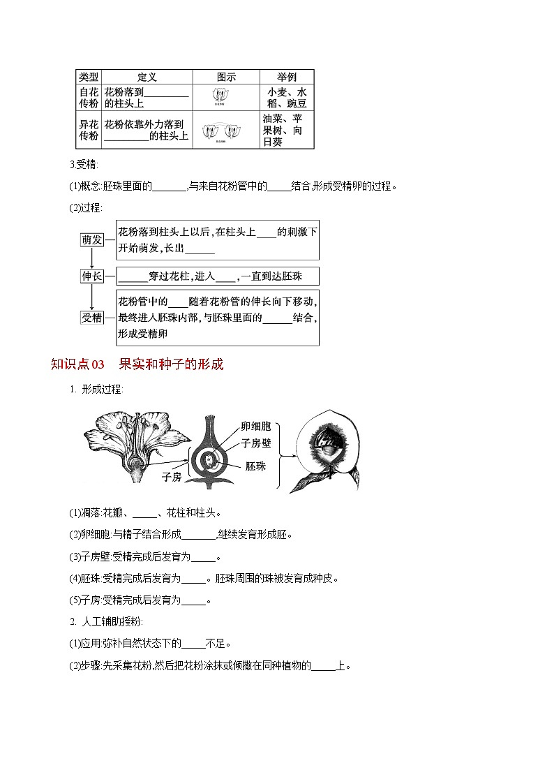 【同步讲义】人教版生物七年级上册--3.2.3《开花和结果》讲义02