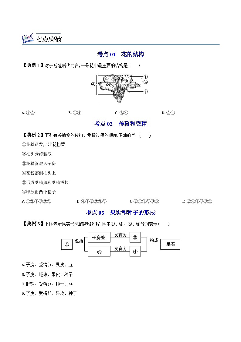 【同步讲义】人教版生物七年级上册--3.2.3《开花和结果》讲义03