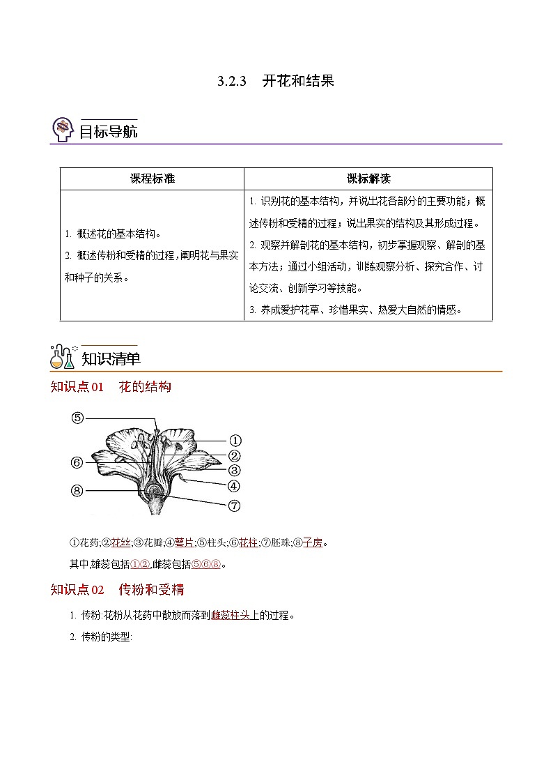 【同步讲义】人教版生物七年级上册--3.2.3《开花和结果》讲义01