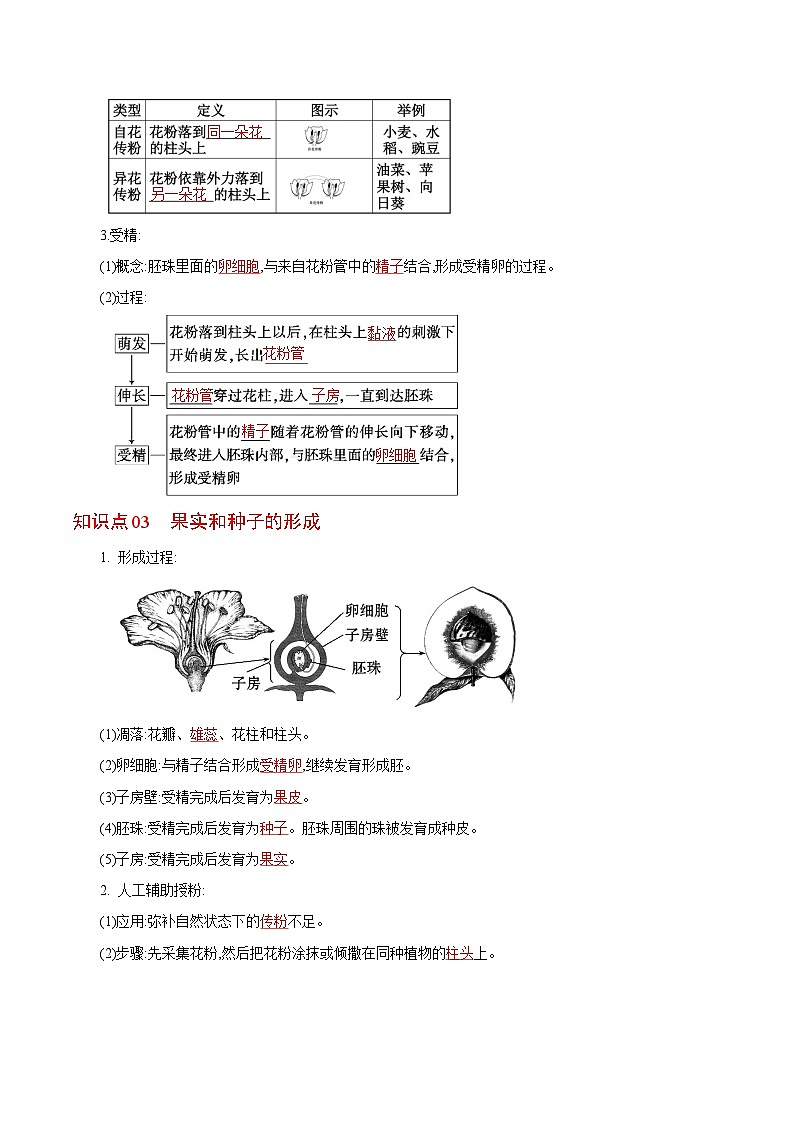 【同步讲义】人教版生物七年级上册--3.2.3《开花和结果》讲义02