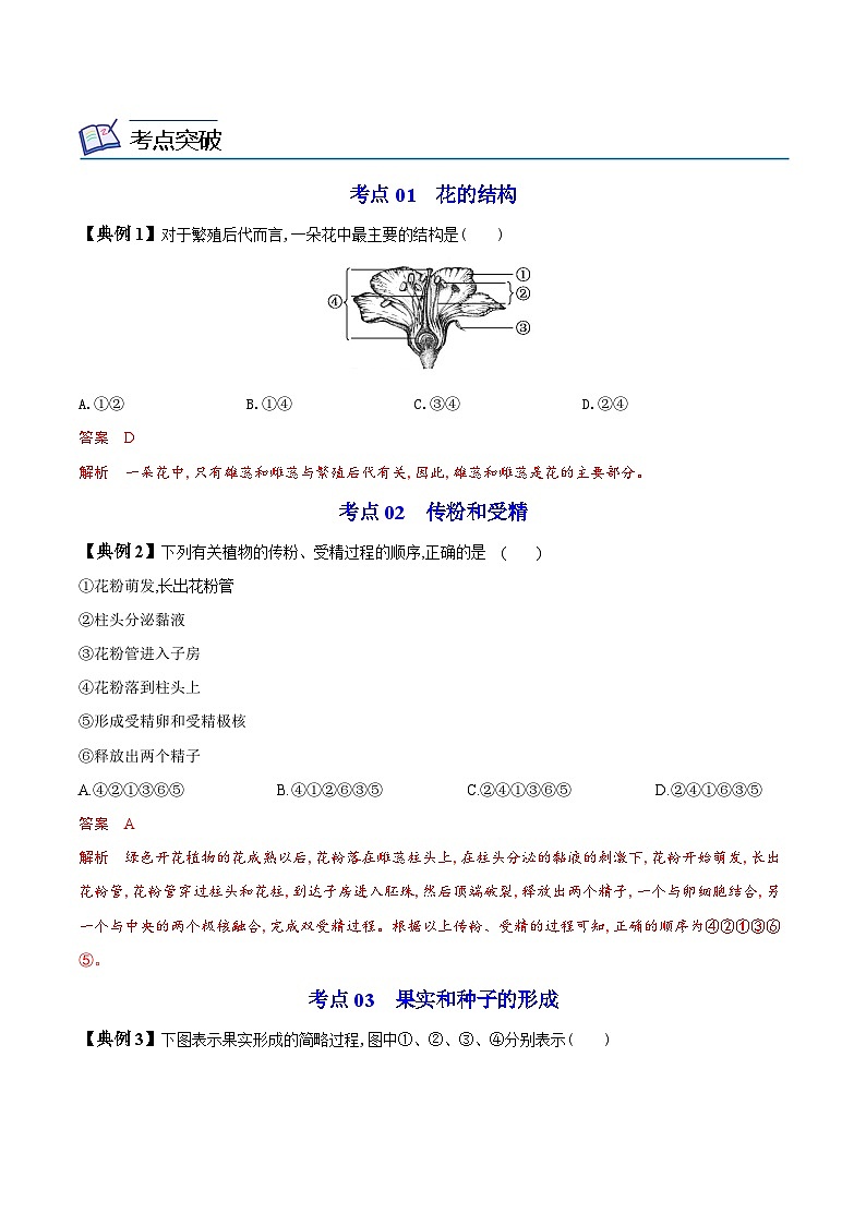 【同步讲义】人教版生物七年级上册--3.2.3《开花和结果》讲义03