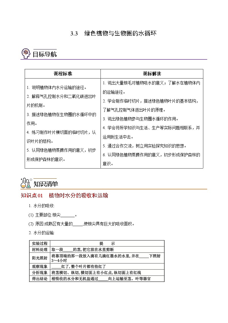 【同步讲义】人教版生物七年级上册--3.3《绿色植物与生物圈的水循环》讲义01