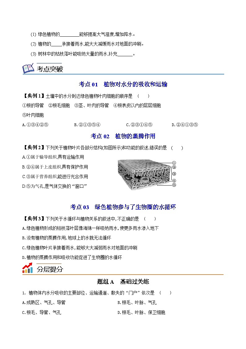 【同步讲义】人教版生物七年级上册--3.3《绿色植物与生物圈的水循环》讲义03