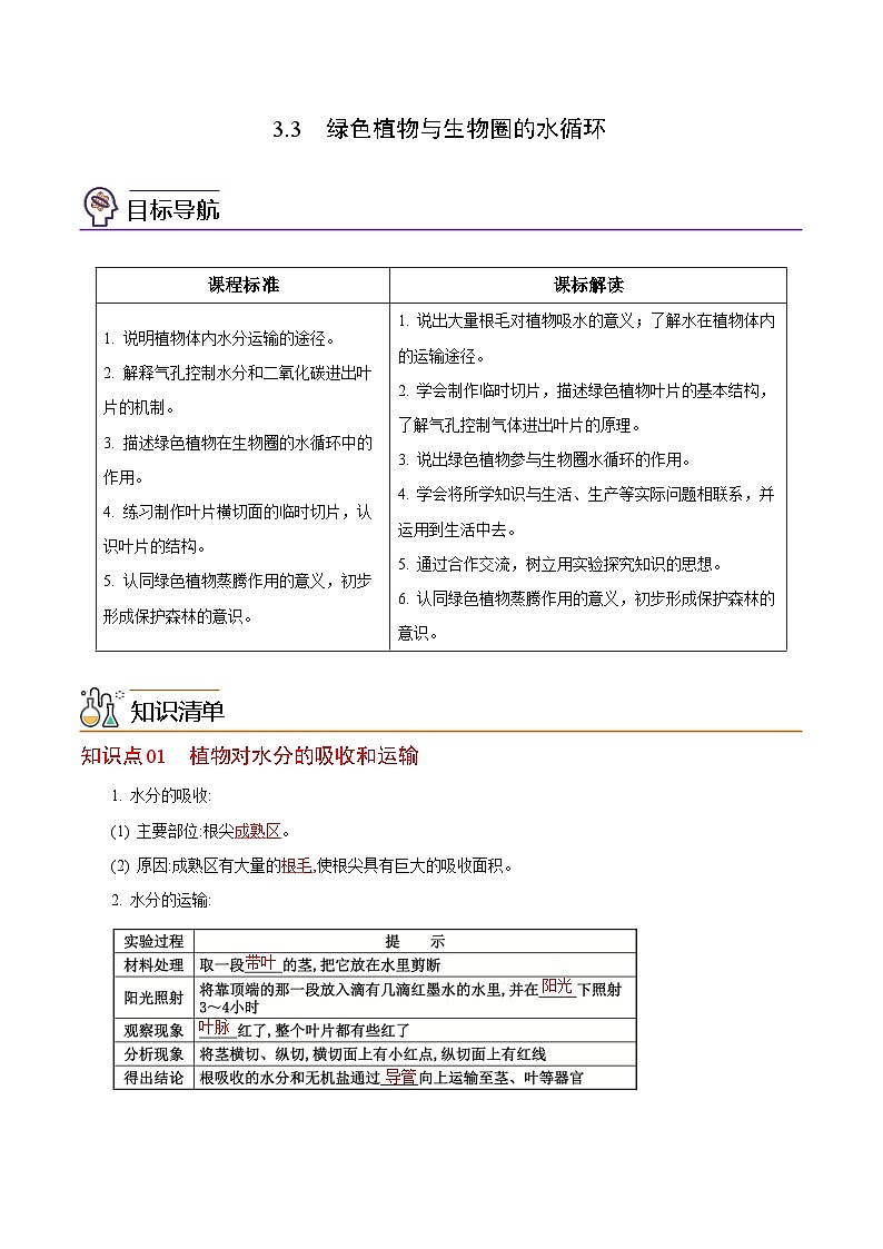 【同步讲义】人教版生物七年级上册--3.3《绿色植物与生物圈的水循环》讲义01