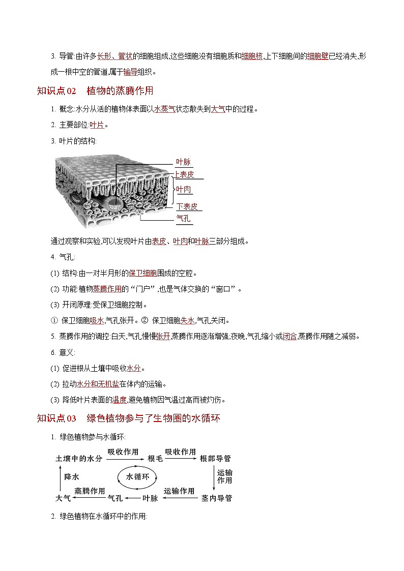 【同步讲义】人教版生物七年级上册--3.3《绿色植物与生物圈的水循环》讲义02