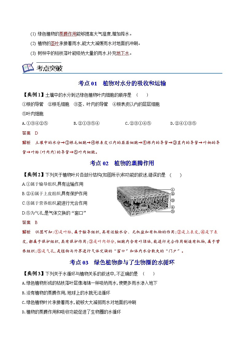 【同步讲义】人教版生物七年级上册--3.3《绿色植物与生物圈的水循环》讲义03