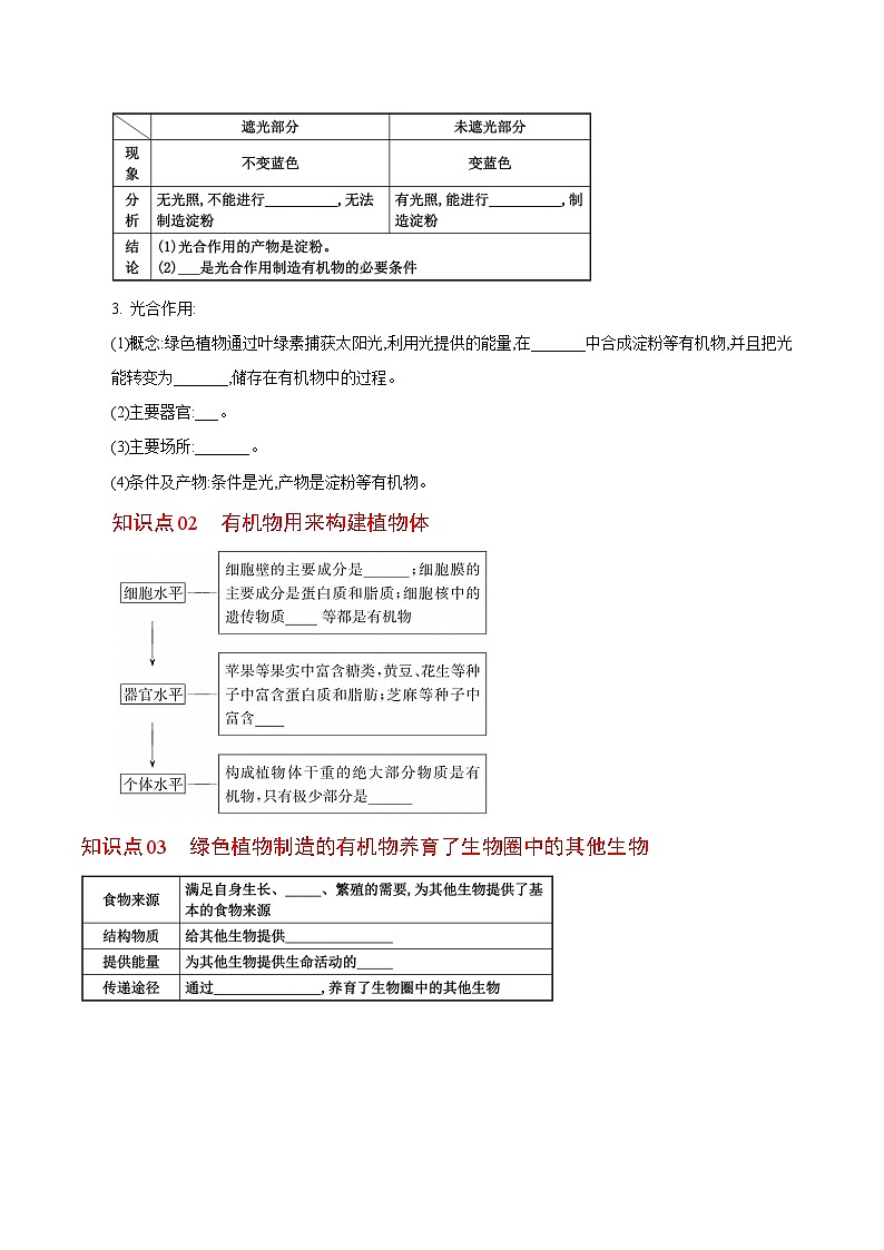 【同步讲义】人教版生物七年级上册--3.4《绿色植物是生物圈中有机物的制造者》讲义02
