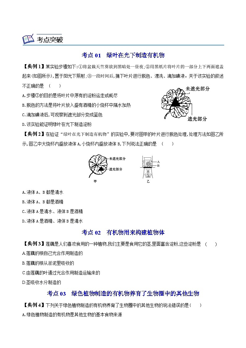 【同步讲义】人教版生物七年级上册--3.4《绿色植物是生物圈中有机物的制造者》讲义03