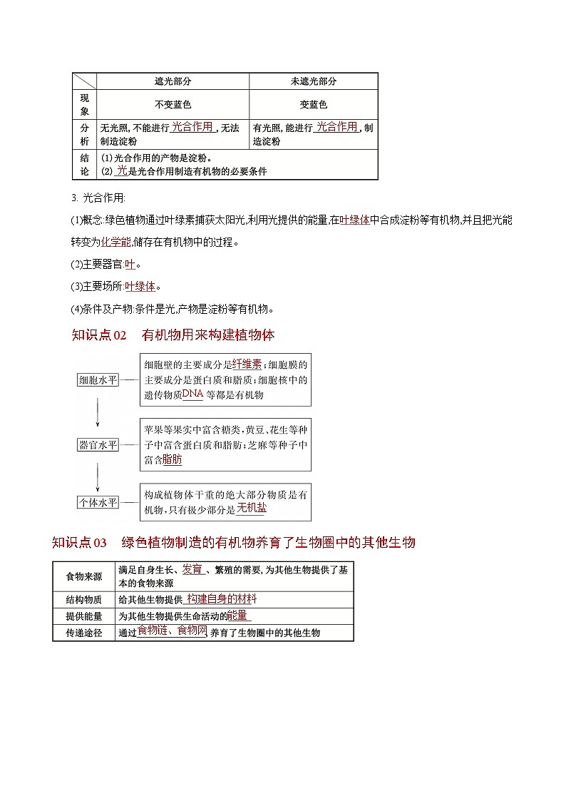 【同步讲义】人教版生物七年级上册--3.4《绿色植物是生物圈中有机物的制造者》讲义02