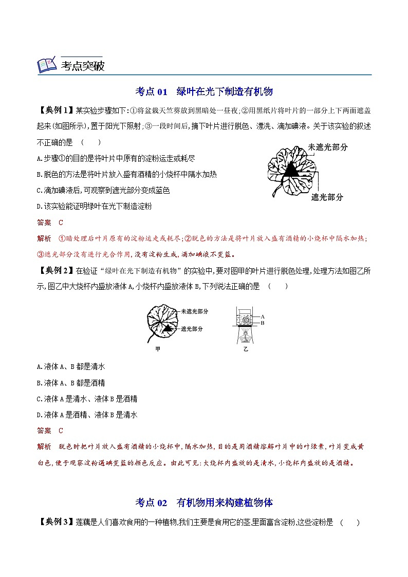【同步讲义】人教版生物七年级上册--3.4《绿色植物是生物圈中有机物的制造者》讲义03