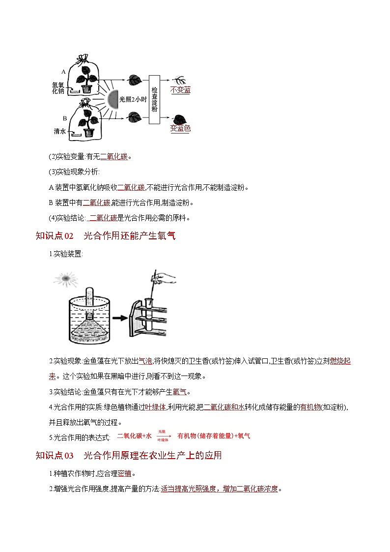 【同步讲义】人教版生物七年级上册--3.5.1《光合作用吸收二氧化碳释放氧气》讲义02
