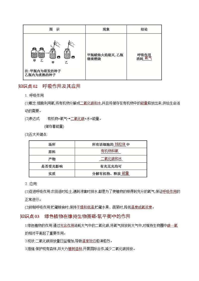 【同步讲义】人教版生物七年级上册--3.5.2《绿色植物的呼吸作用》讲义02