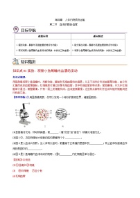 人教版 (新课标)第二节 血流的管道──血管优秀当堂达标检测题