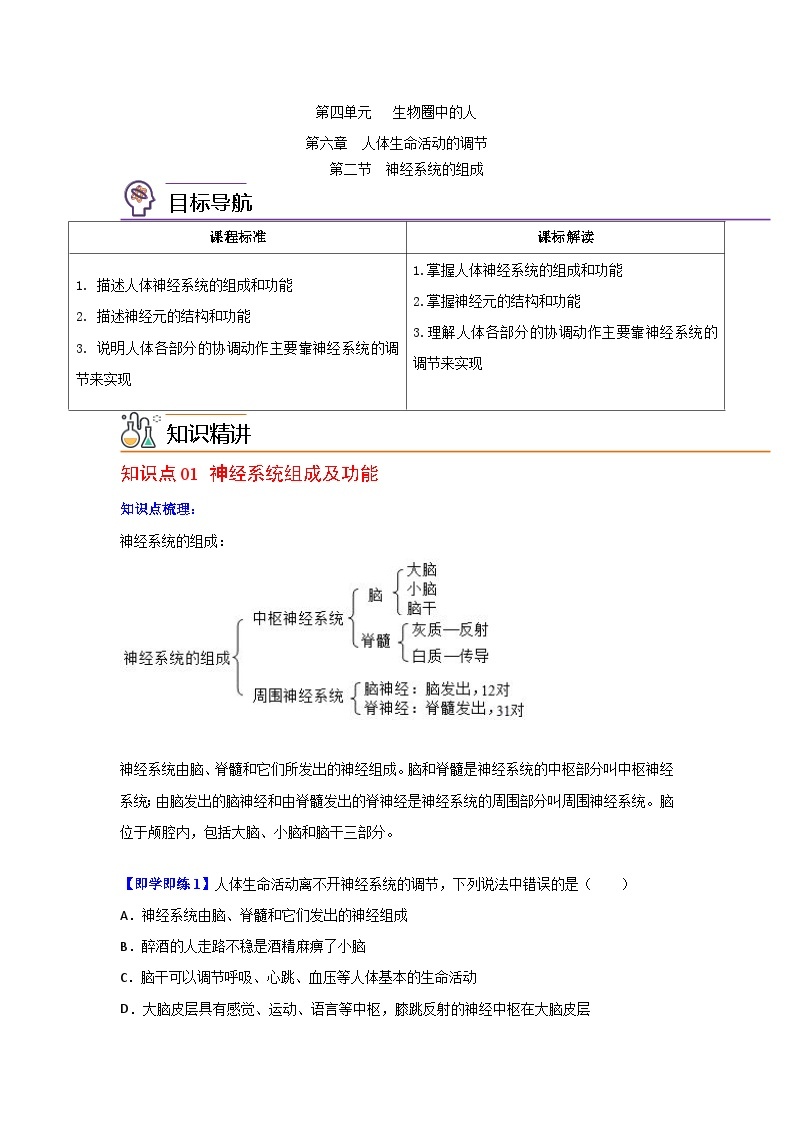 【同步讲义】人教版生物七年级下册--6.2《神经系统的组成》讲义01