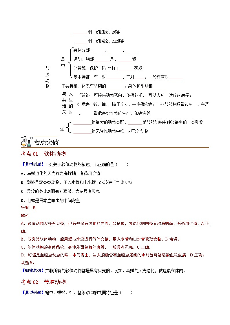 【同步讲义】人教版生物八年级上册第五单元-第一章-第三节《软体动物和节肢动物》讲义02