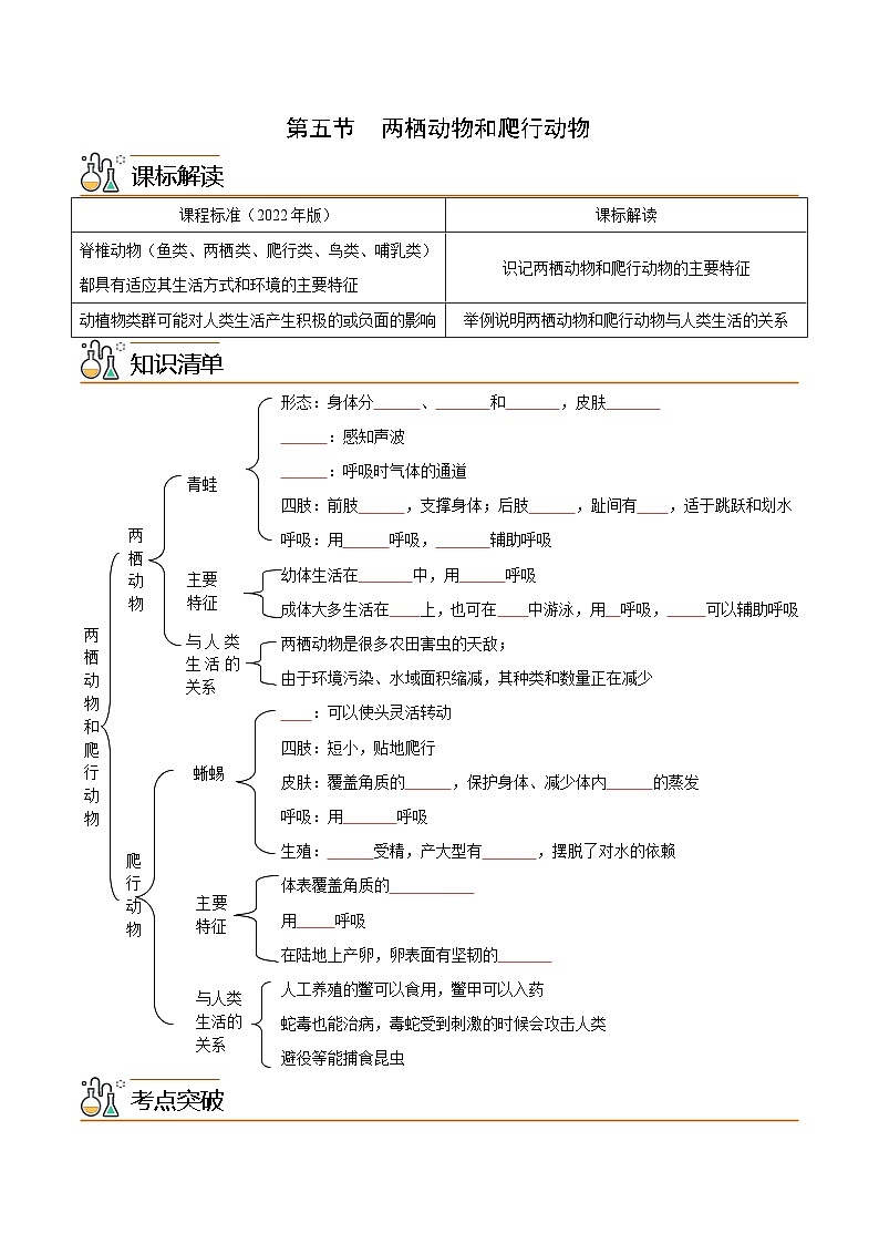 【同步讲义】人教版生物八年级上册第五单元-第一章-第五节《两栖动物和爬行动物》讲义01