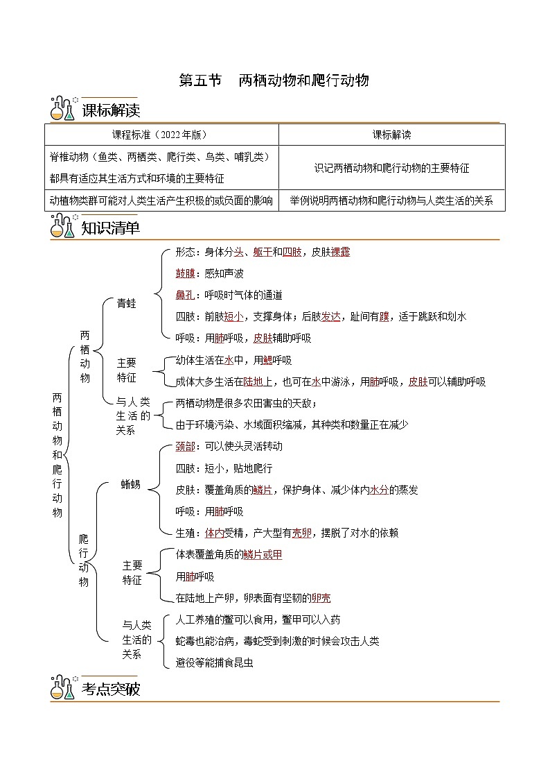 【同步讲义】人教版生物八年级上册第五单元-第一章-第五节《两栖动物和爬行动物》讲义01