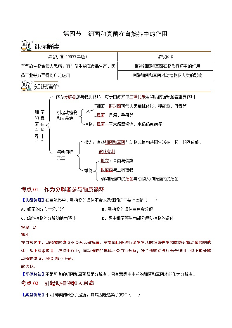 【同步讲义】人教版生物八年级上册第五单元-第四章-第四节《细菌和真菌在自然界中的作用》讲义01