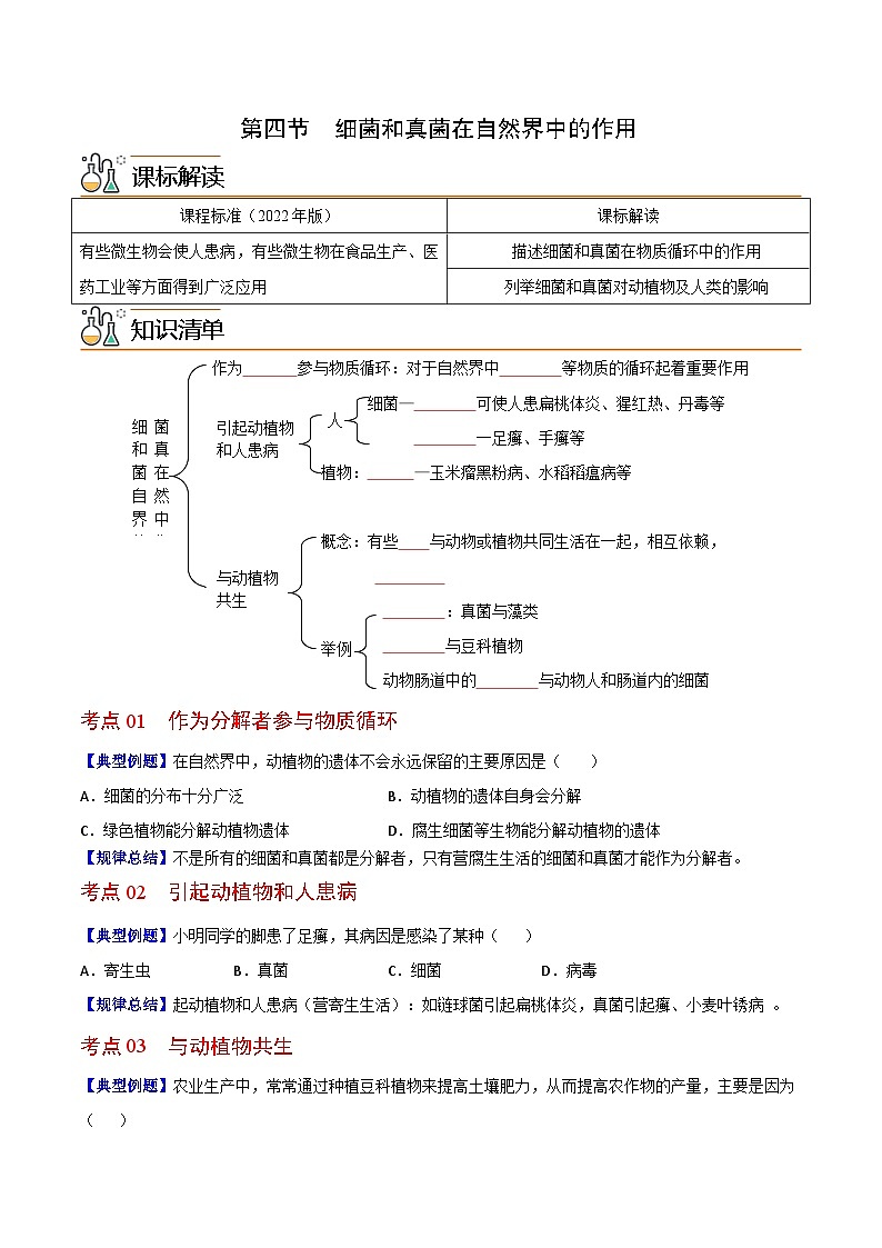【同步讲义】人教版生物八年级上册第五单元-第四章-第四节《细菌和真菌在自然界中的作用》讲义01