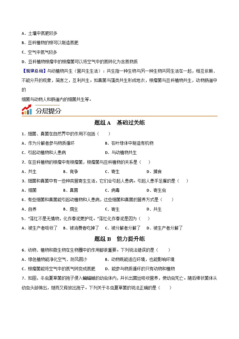 【同步讲义】人教版生物八年级上册第五单元-第四章-第四节《细菌和真菌在自然界中的作用》讲义02