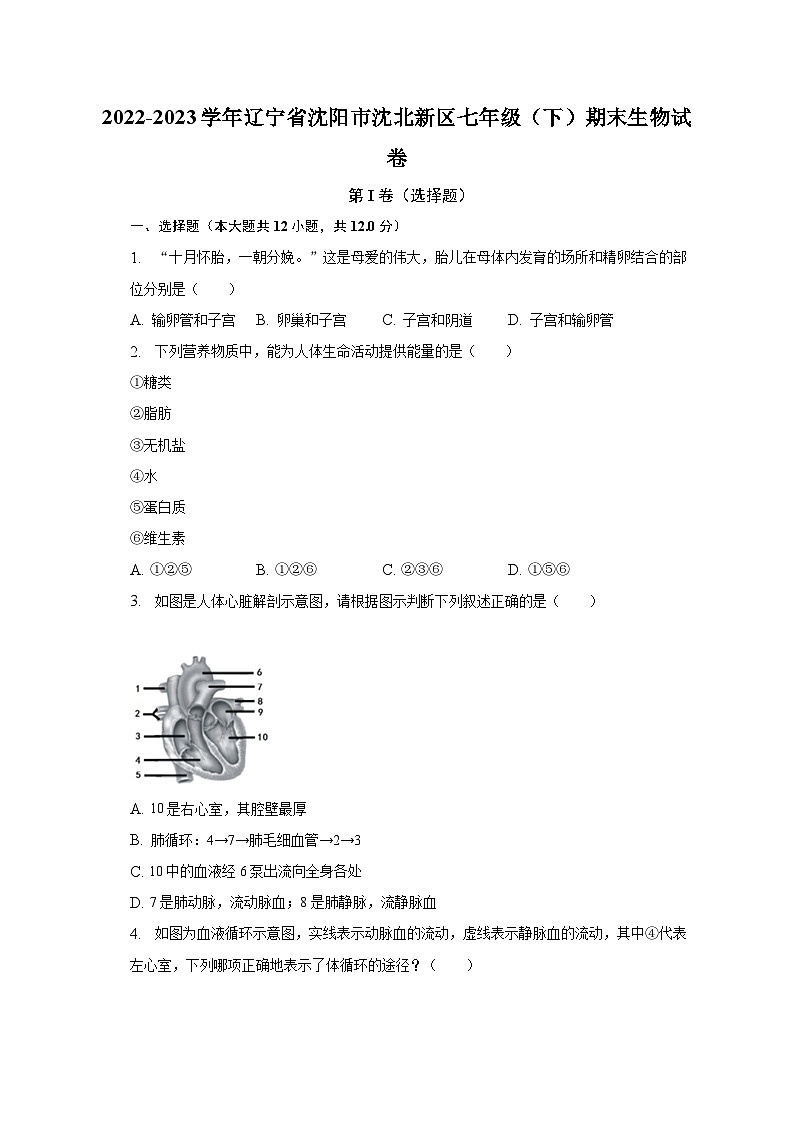 2022-2023学年辽宁省沈阳市沈北新区七年级（下）期末生物试卷（含解析）01