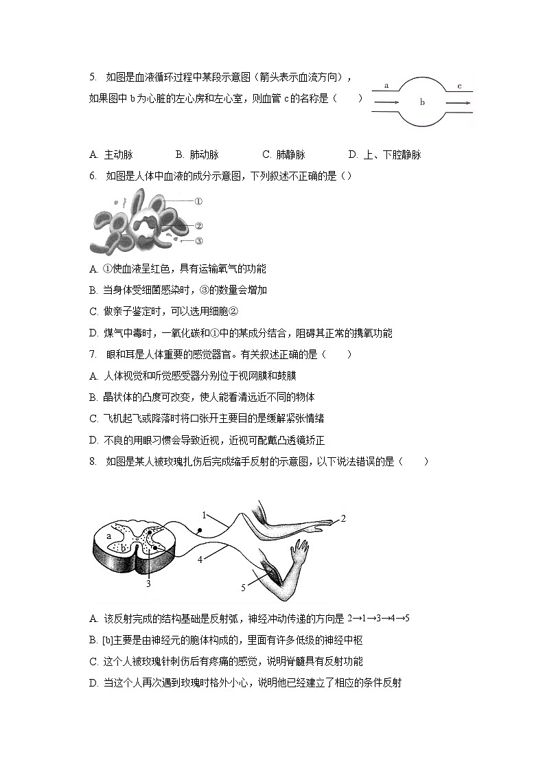 2022-2023学年山东省菏泽市牡丹区七年级（下）期末生物试卷（含解析）第2页