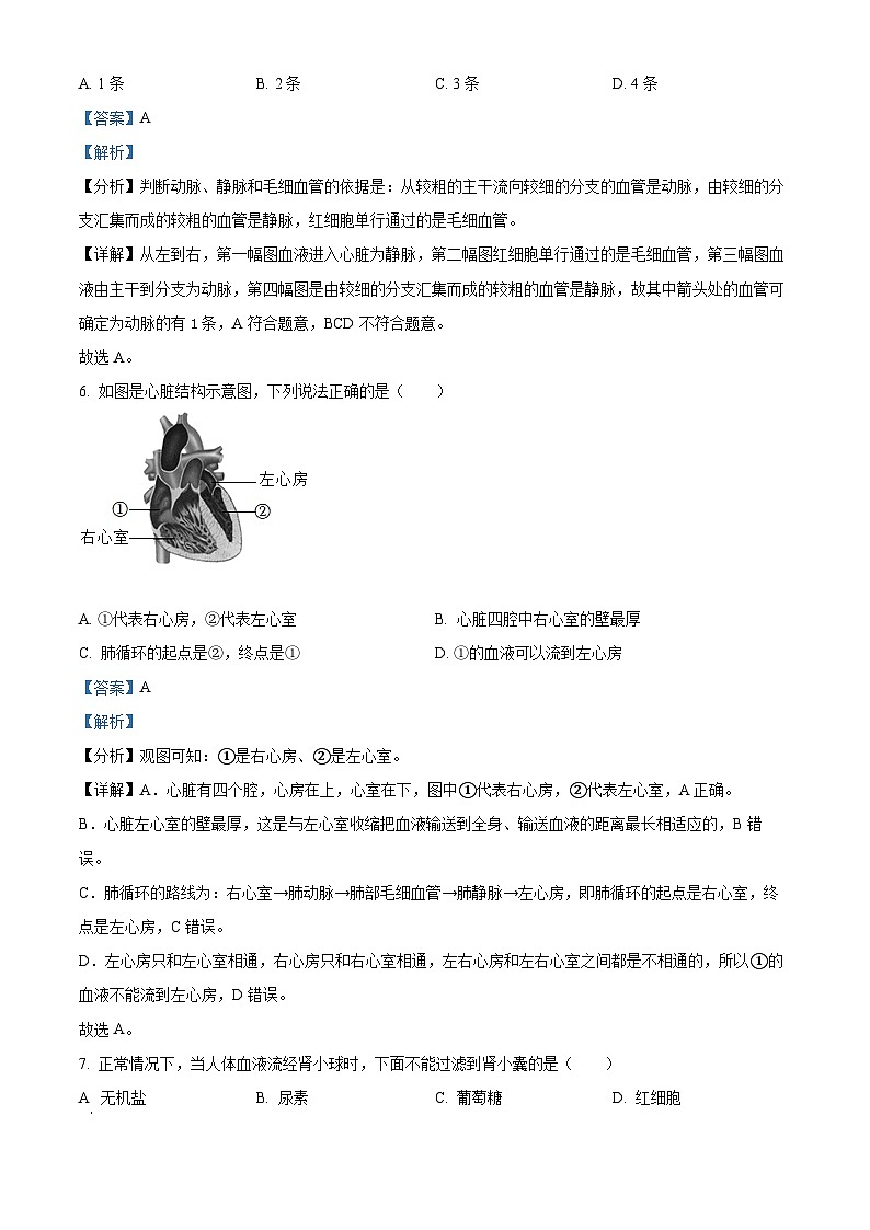甘肃省张掖市高台县城关中学等四校2022-2023学年七年级下学期期末生物试题（解析版）03