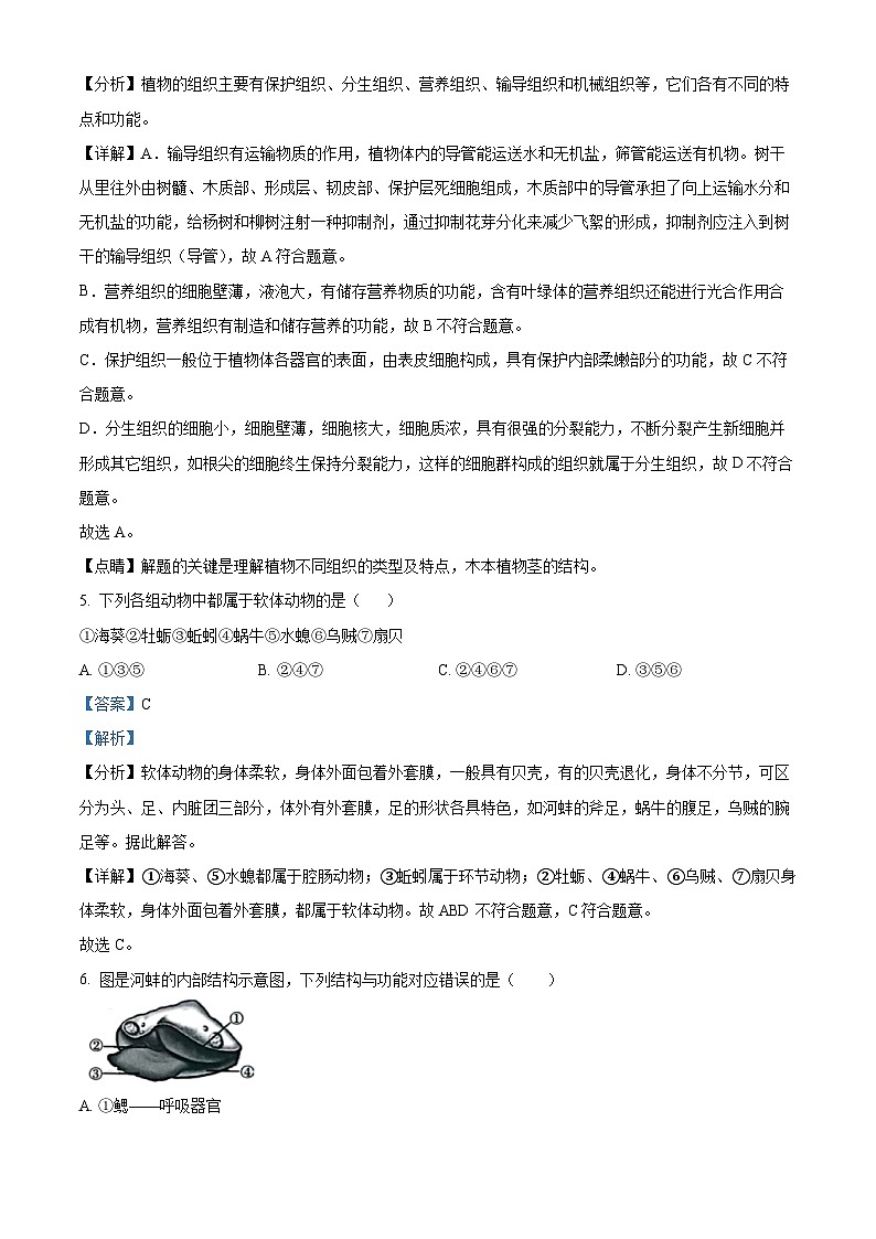 江苏省苏州市吴江区2022-2023学年七年级下学期期末生物试题（解析版）03