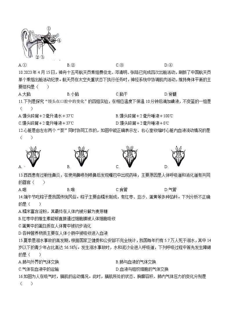 陕西省渭南市韩城市2022-2023学年七年级下学期期末生物试题02