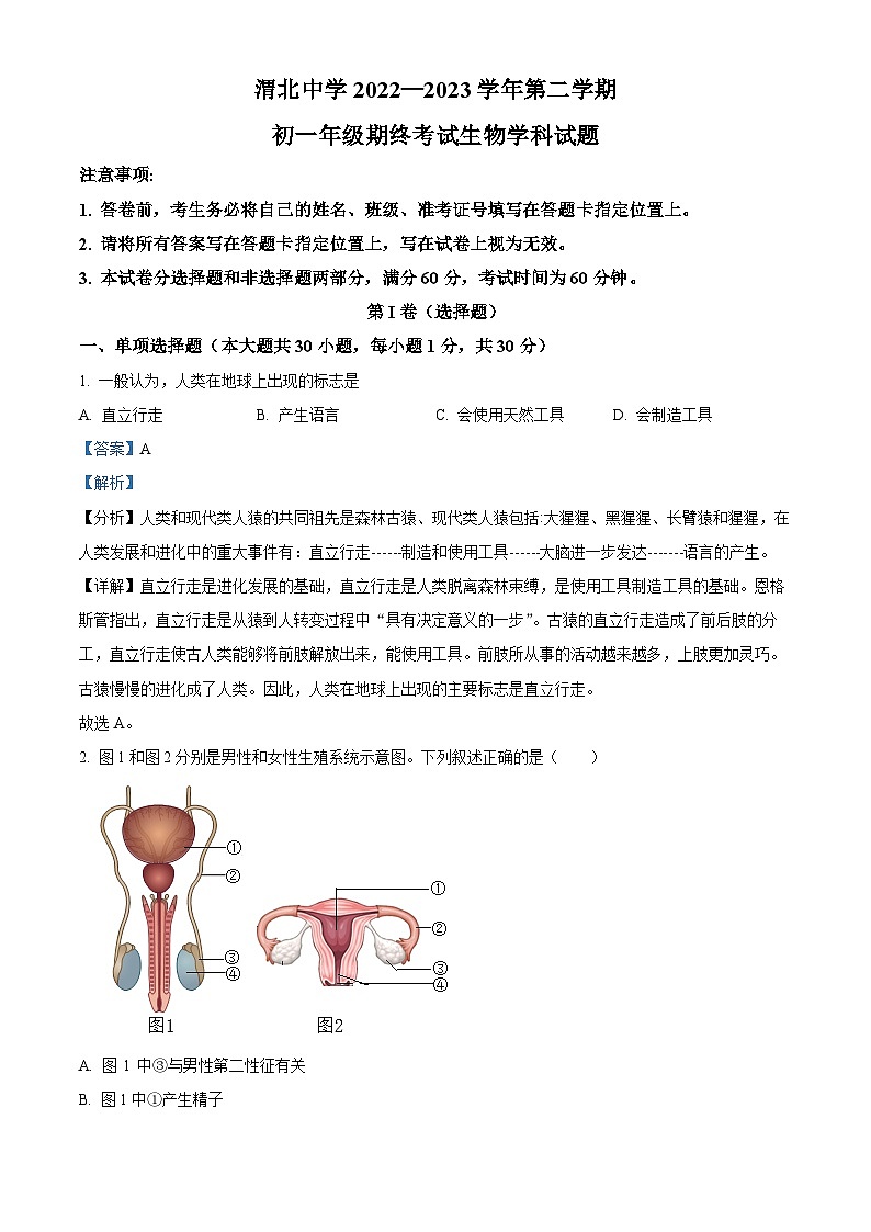 陕西省西安市陕西师范大学附属中学渭北中学2022-2023学年七年级下学期期末生物试题（解析版）01
