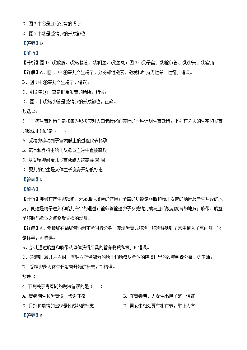陕西省西安市陕西师范大学附属中学渭北中学2022-2023学年七年级下学期期末生物试题（解析版）02