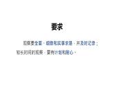 人教版七年级生物上册--1.1.1 生物的特征（精品课件）