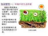 人教版七年级生物上册--1.2.1 生物与环境的关系（精品课件）