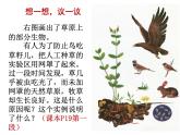 人教版七年级生物上册--1.2.1 生物与环境的关系（课件）