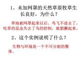 人教版七年级生物上册--1.2.1 生物与环境的关系（课件）