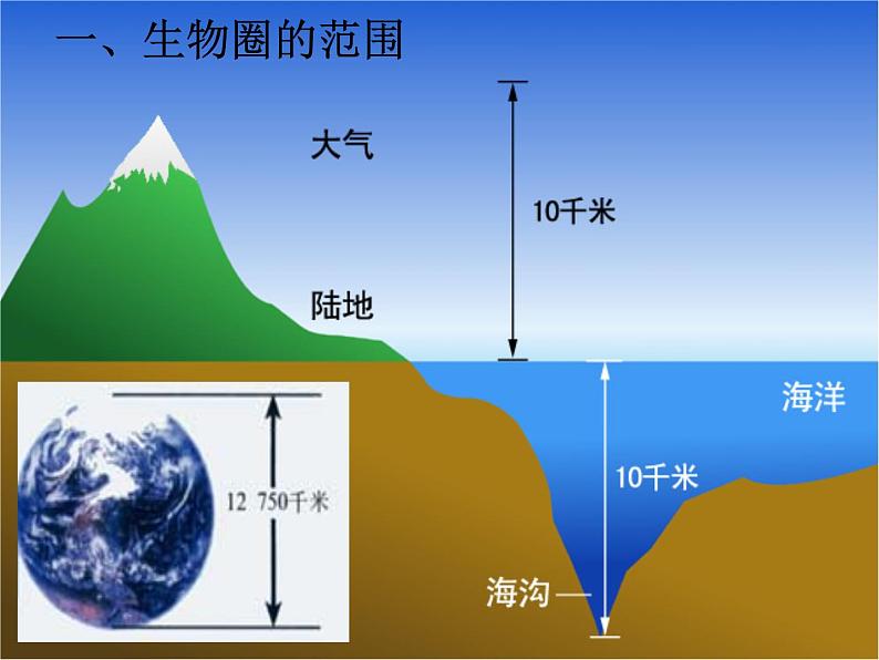 人教版七年级生物上册--1.2.3 生物圈是最大的生态系统（精品课件）第6页