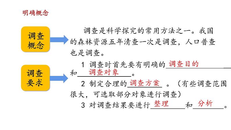 人教版七年级生物上册--第一单元 生物与生物圈  单元复习（精品课件）第4页