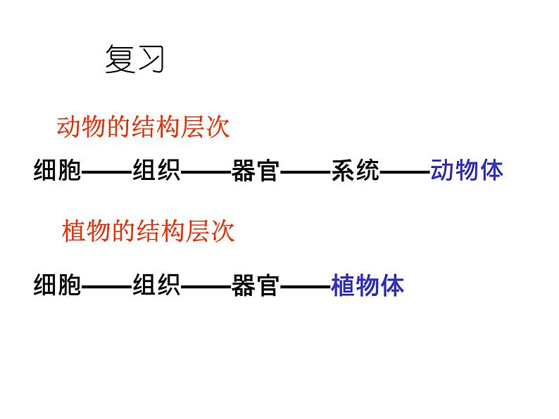 人教版七年级生物上册--2.2.4 单细胞生物（精品课件）02