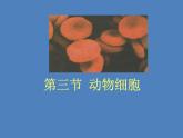 人教版七年级生物上册--第三节 《动物细胞》（精品课件）