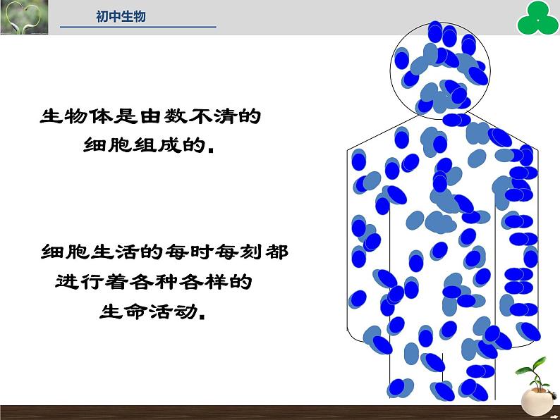 人教版七年级生物上册--第四节 《细胞的生活》（精品课件）02