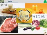 人教版七年级生物上册--第四节 《细胞的生活》（精品课件）