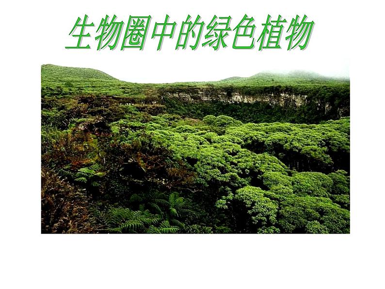 人教版七年级生物上册--3.1.1　藻类、苔藓和蕨类植物（精品课件）第1页