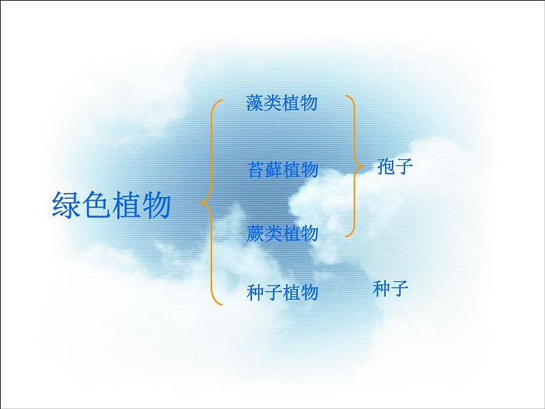 人教版七年级生物上册--3.1.1　藻类、苔藓和蕨类植物（精品课件）第3页