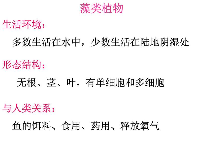 人教版七年级生物上册--3.1.1　藻类、苔藓和蕨类植物（精品课件）第8页