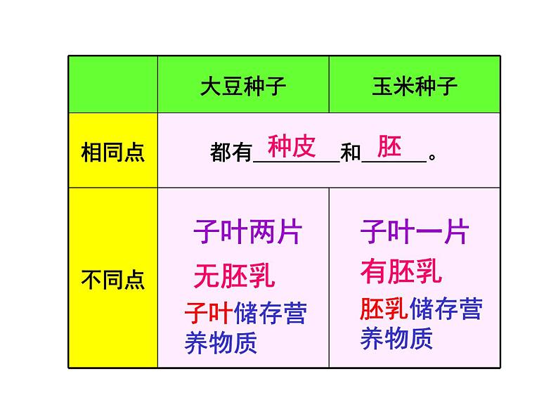 人教版七年级生物上册--3.2.1　种子的萌发（精品课件）04