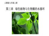 人教版七年级生物上册--3.3绿色植物与生物圈的水循环（精品课件）
