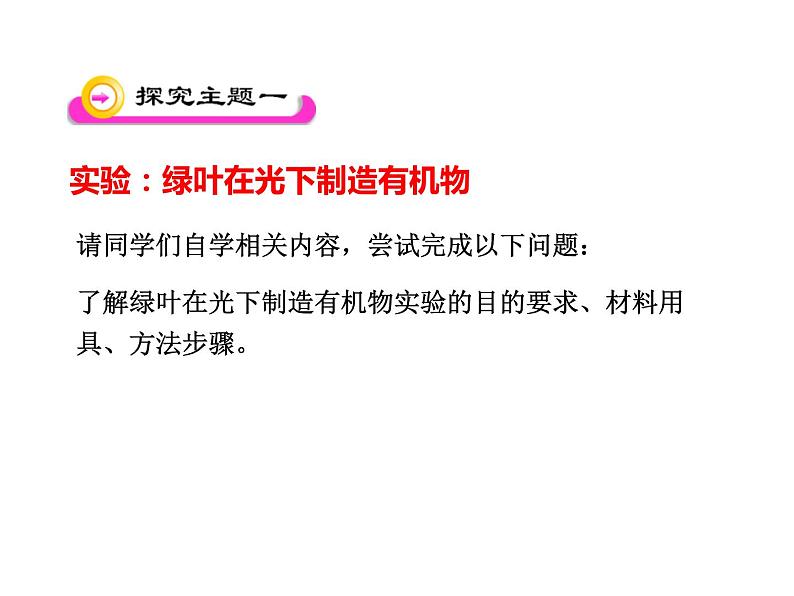 人教版七年级生物上册--3.4绿色植物是生物圈中有机物的制造者（精品课件）06