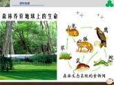 人教版七年级生物上册--第六章《爱护植被，绿化祖国》（精品课件）