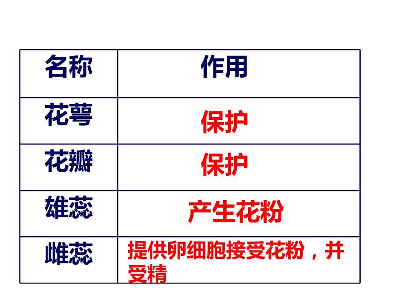 人教版七年级生物上册--第三节 《开花和结果》（精品课件）08